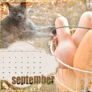 2012 cd case calendar - photo art blends
