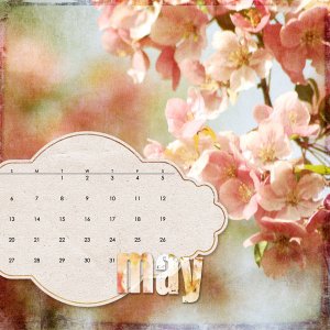may 2012 cd case photo blend calendar