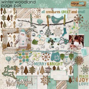 New Winter Woodland