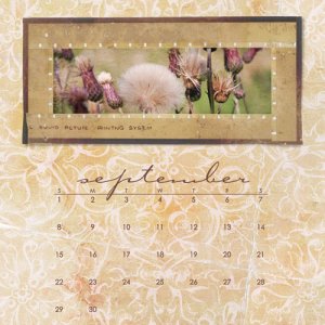 CD Calendar - September