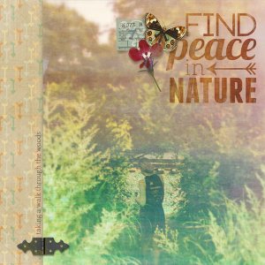 peace in nature