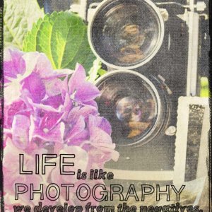 Photography and Life