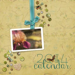 2014 CD Calendar Cover