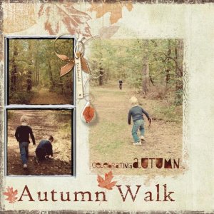 Autumn walk - 2