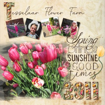 Timeless Tulips Sample Layout
