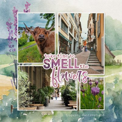 SummerScapes Sample Layout