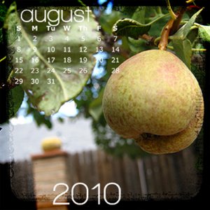 August CD TTV Calendar
