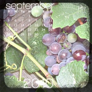 September CD TTV Calendar