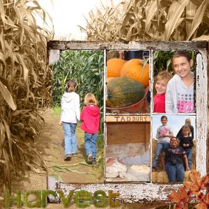 A Day at the Corn Maze