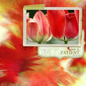 love is patient...