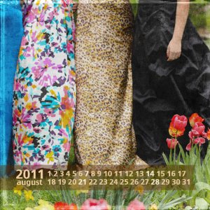 2011 CD Calendar - Photo Art Blends