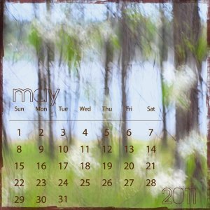 may 2011 CD calendar